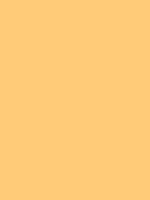 #ffcb78 color image